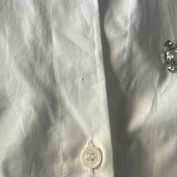 Zara Jeweled Buttondown Shirt - Picture 5 of 10